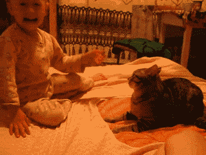 Baby vs Cat