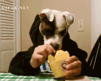 DOGS DINING
