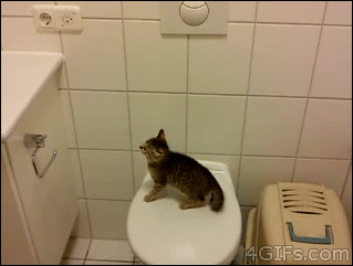 kitty fail