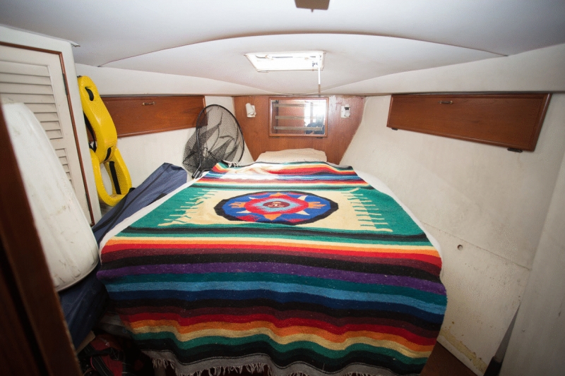 Cabo fishing charters