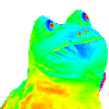 RAINBOW frog