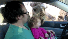 Camel Eats Baby's Head