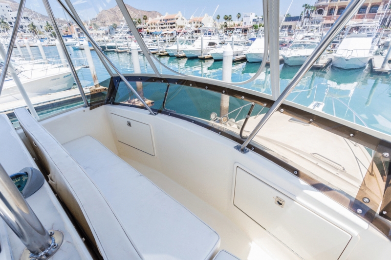 Cabo fishing charters