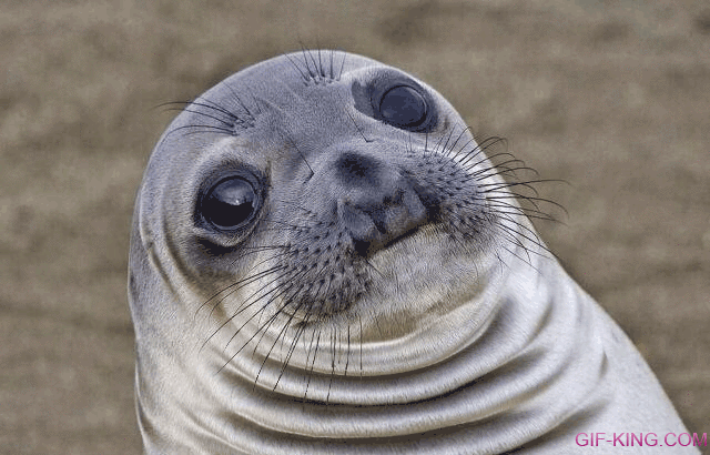 Meme Seal