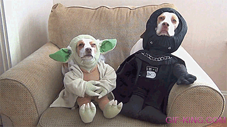 Not Too Psyched Star Wars Costumes