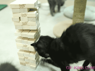 Cat Playing Jenga