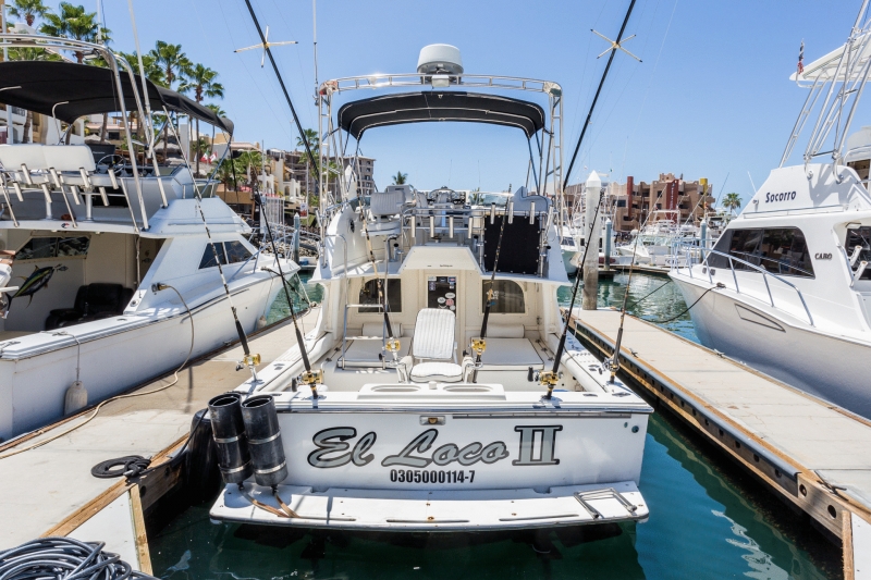 Cabo sport fishing fleet