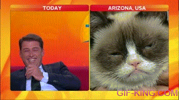 Karl Stefanovic interviews Grumpy Cat
