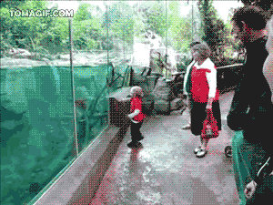 Kid Being Followed By Otter