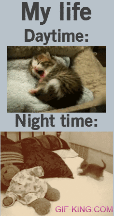 my life: daytime vs. nighttime