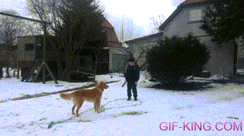 Dog Knocks Down Kid in Snow Fail