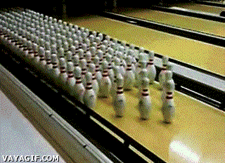 Tag - bowling | Free Funny Animated Animal gif Images 