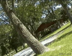 Tree Backflip Fail