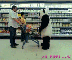 Never Say No to Panda