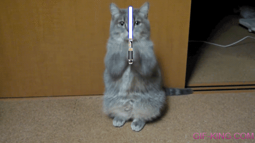 Cat Lightsaber