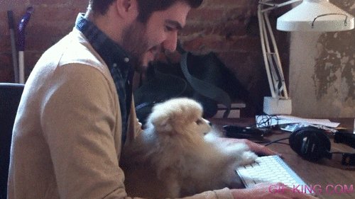 Pomeranian Typing
