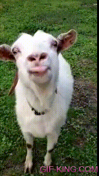 Goat Shows You Some Expert Tongue Techniques