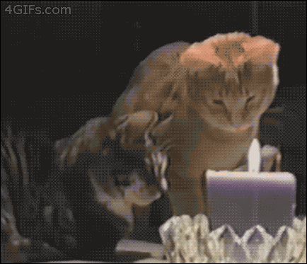 Cat Swipes Candle