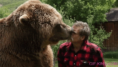 Bear and Man Are Bestfriends