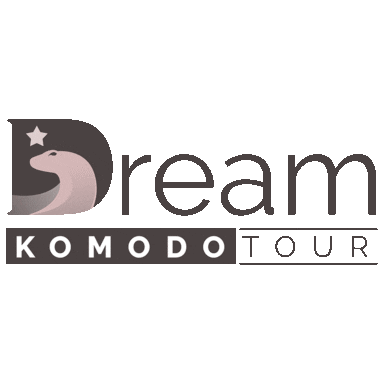 Tours to Komodo