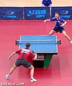 Fantastic Ping Pong