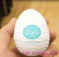 Sex Toys Tenga Egg