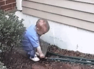 Baby vs. garden hose