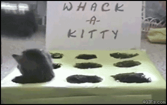 whack a kitty