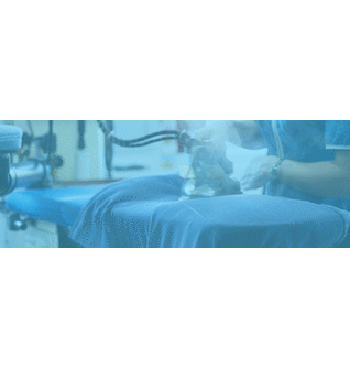 Dry cleaning delivery Houston, http://usehamper.com/