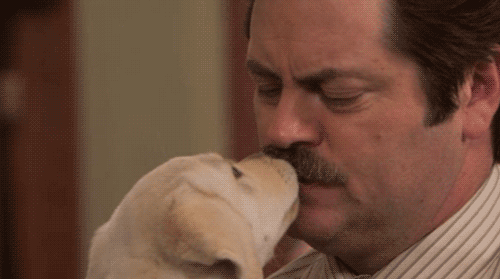 Puppy loves Ron Swanson