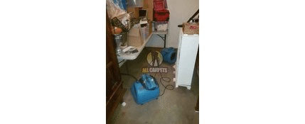 Water Damage Repair Sydney