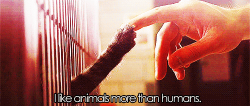 I love animals more than humans