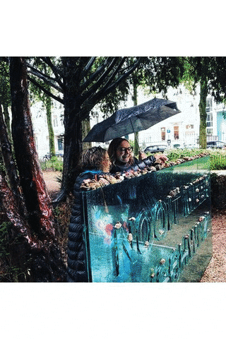 Private Tour Netherlands