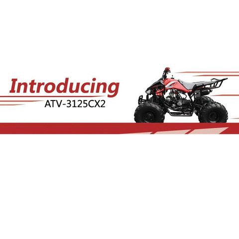 go-kart sale
