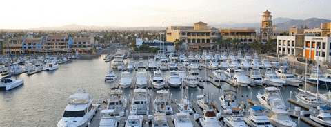 Cabo sport fishing fleet