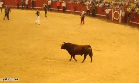 Somersault over charging bull