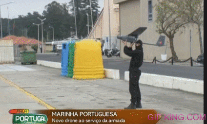 Portuguese Drone Program