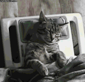 Massage chair cat