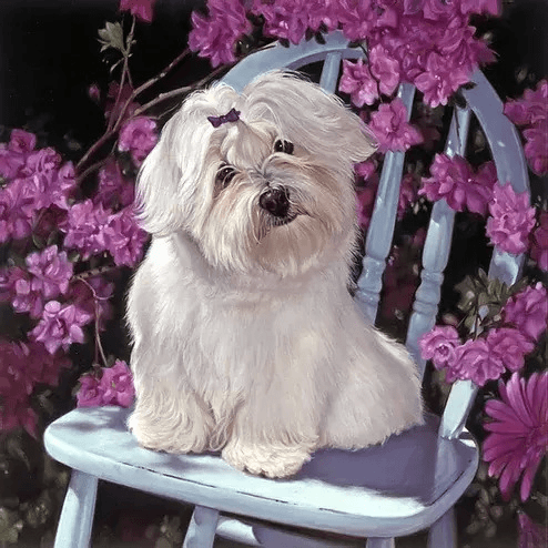 Custom Dog Portrait