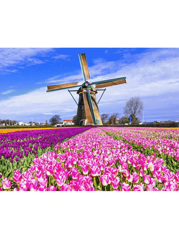 Private Bike Tour Amsterdam