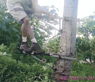 Tree Climbing Invention