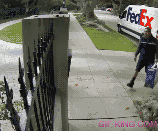 FedEx Guy Throws Computer Monitor Over The Fence
