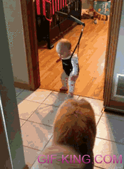 Dog Instructs Baby On The Science Of Jumping