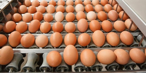 Sheet Metal Fabrication