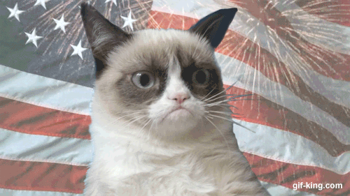 Grumpy Cat hates America