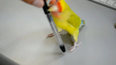 This is my pen now!
