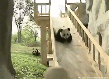 Panda on Slide