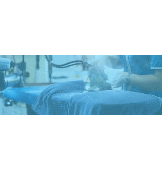 Laundry delivery Houston