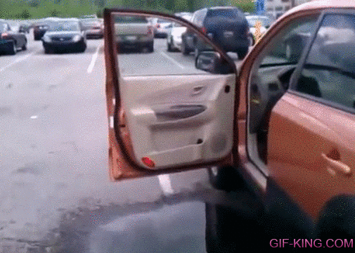 Jumping Inside A Car Fail