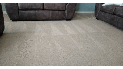 Local carpet cleaning service